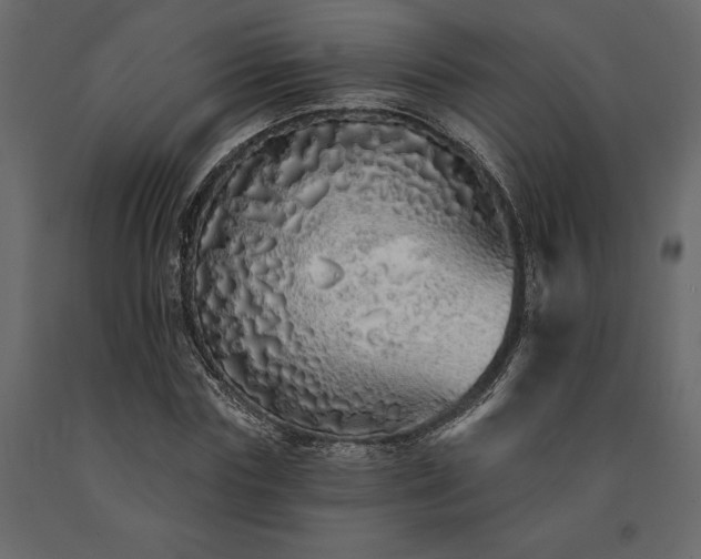 X0000091530827200708241710