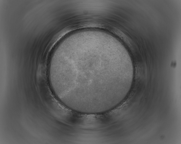 X0000091530828200708241710