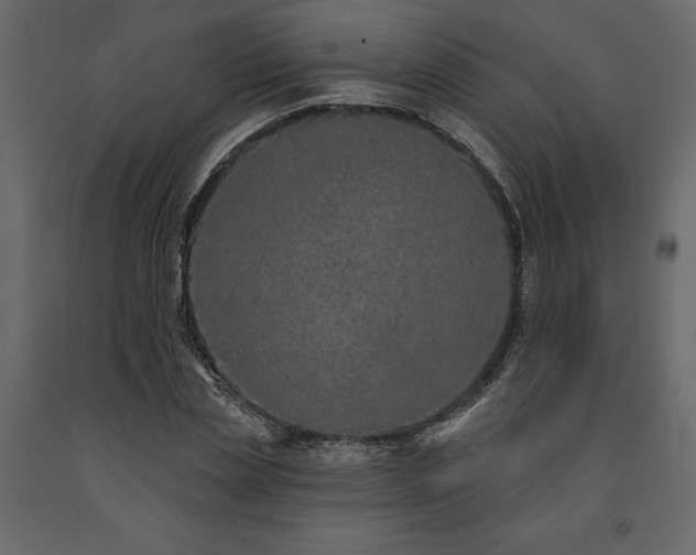 X0000091530829200708241710