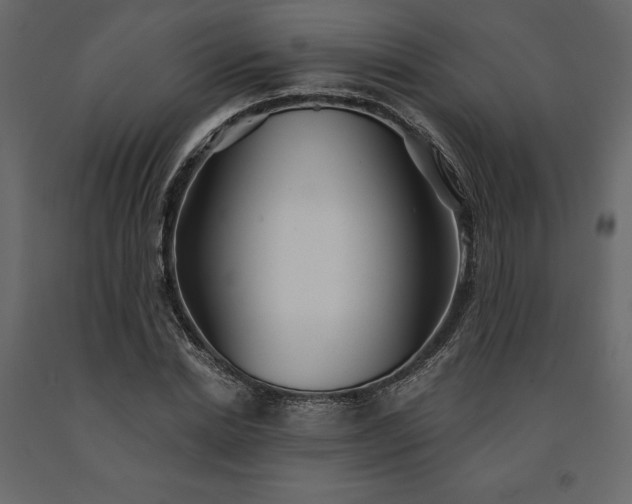 X0000091530830200708241710