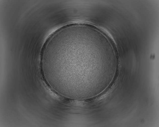 X0000091530831200708241710
