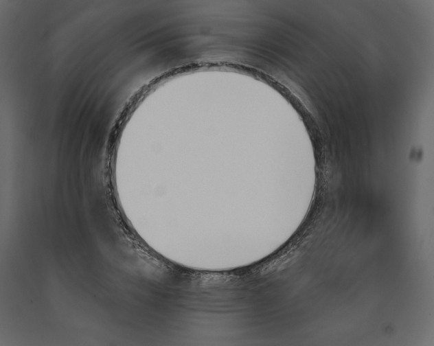 X0000091530832200708241710