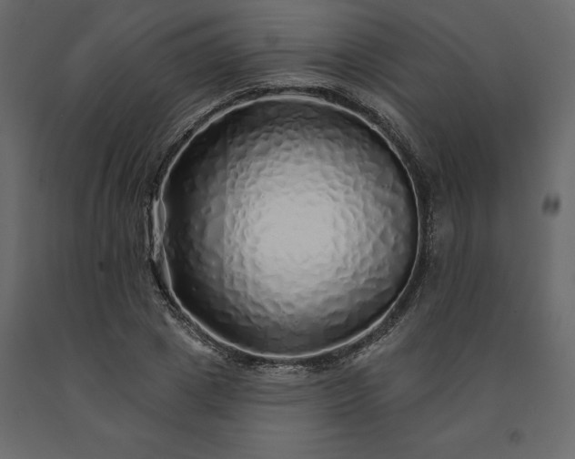 X0000091530833200708241710