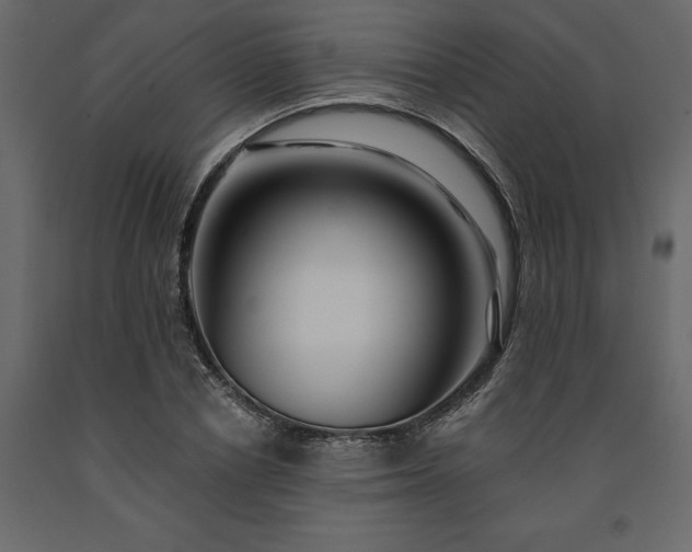 X0000091530834200708241710