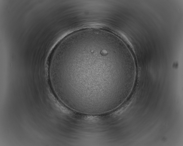 X0000091530835200708241710