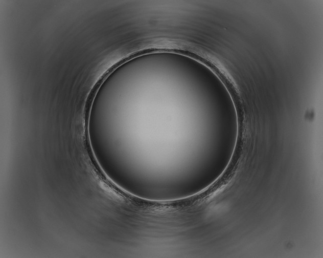 X0000091530837200708241710
