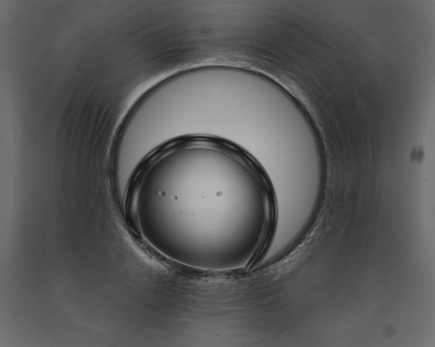 X0000091530838200708241710