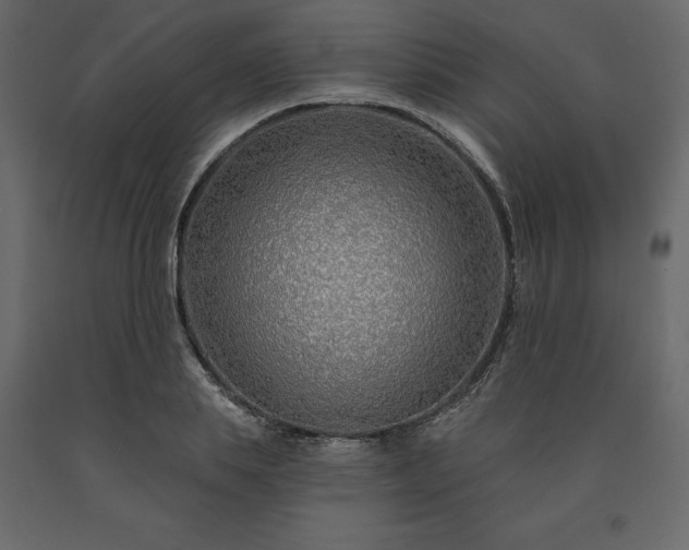 X0000091530839200708241710