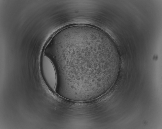 X0000091530840200708241710