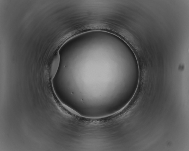 X0000091530841200708241710