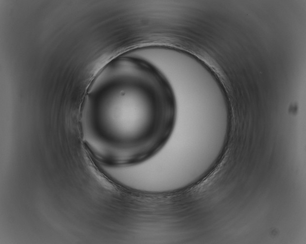 X0000091530842200708241710