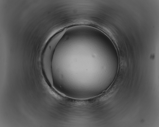 X0000091530843200708241710
