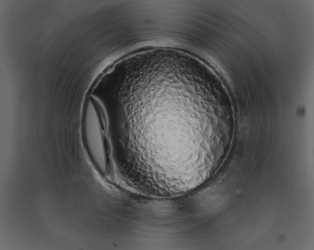 X0000091530845200708241710