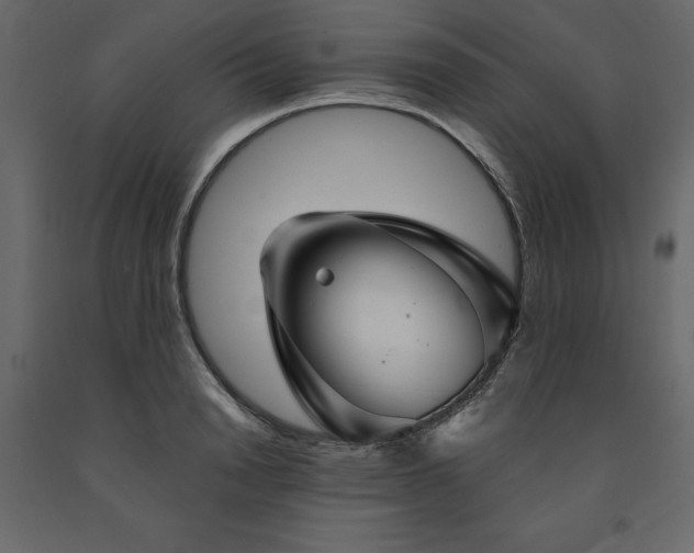 X0000091530846200708241710