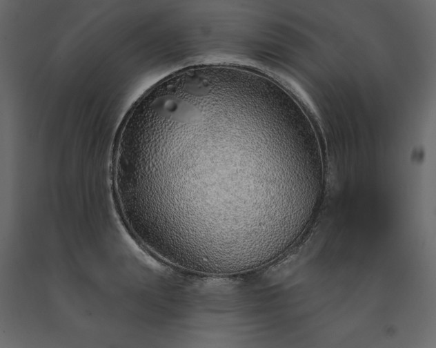 X0000091530847200708241710