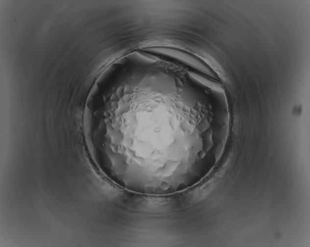 X0000091530849200708241710