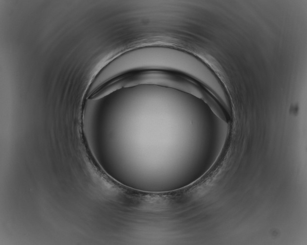 X0000091530850200708241710