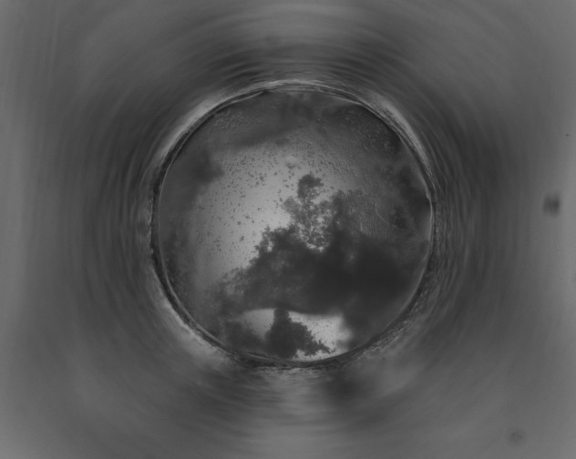 X0000091530851200708241710