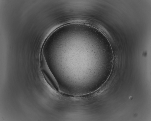 X0000091530852200708241710