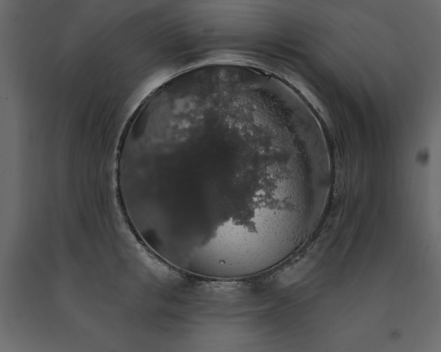 X0000091530853200708241710