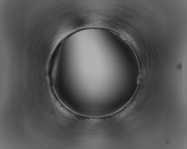 X0000091530854200708241710