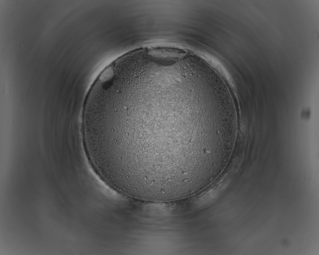 X0000091530855200708241710