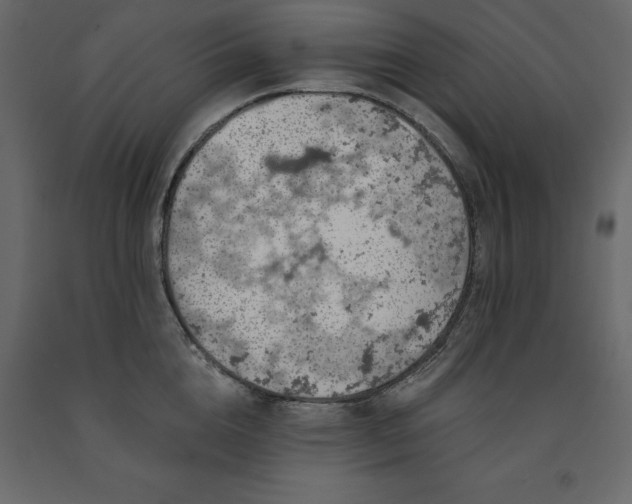 X0000091530856200708241710