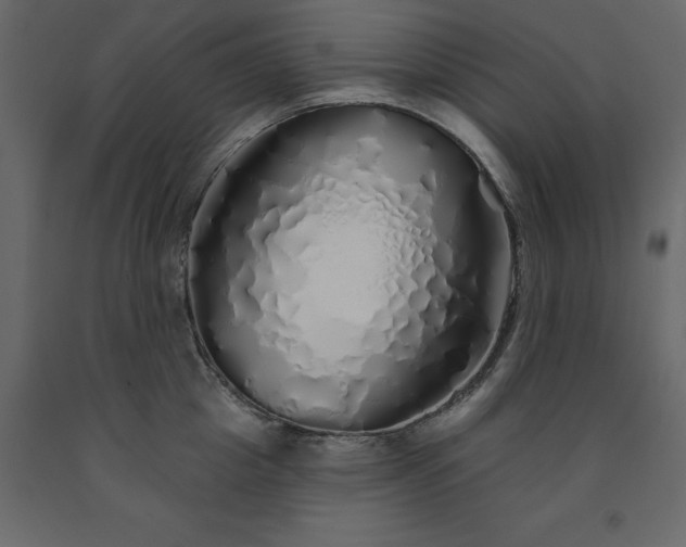 X0000091530857200708241710