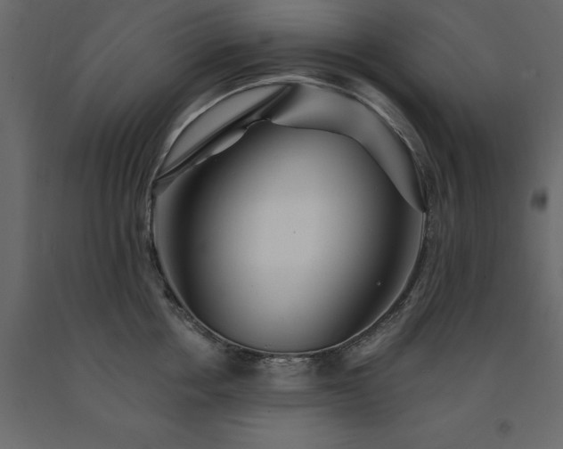 X0000091530858200708241710