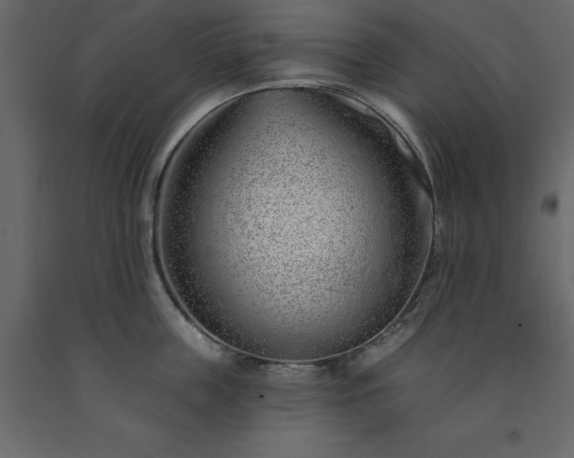 X0000091530859200708241710