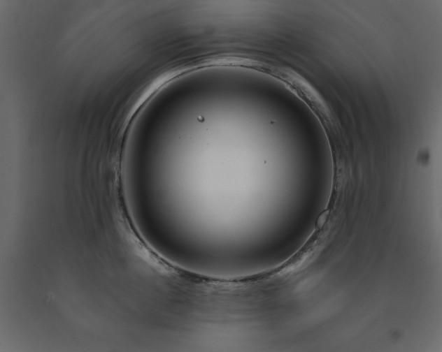 X0000091530860200708241710