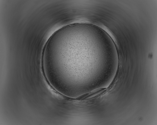 X0000091530861200708241710