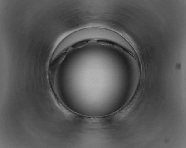 X0000091530862200708241710
