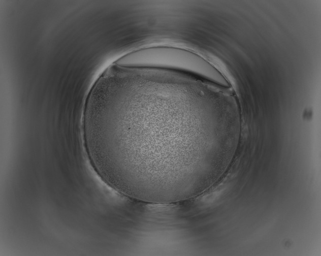 X0000091530863200708241710