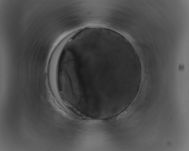 X0000091530864200708241710