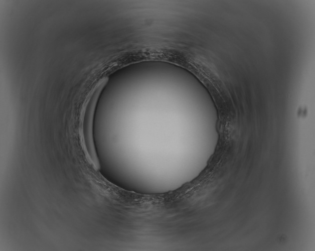 X0000091530865200708241710