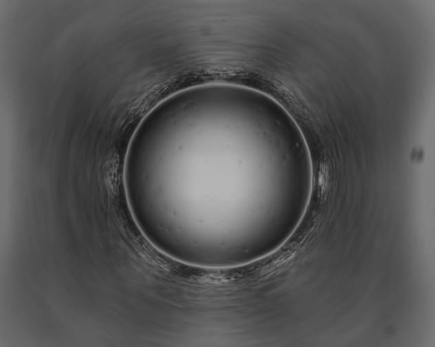 X0000091530867200708241710