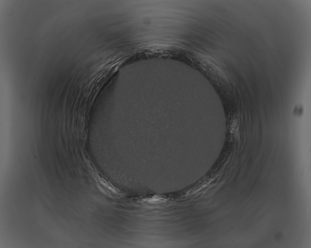 X0000091530868200708241710