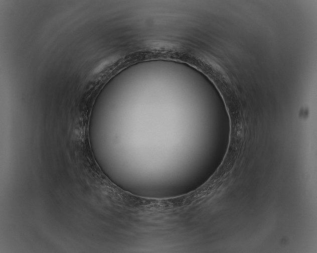X0000091530869200708241710