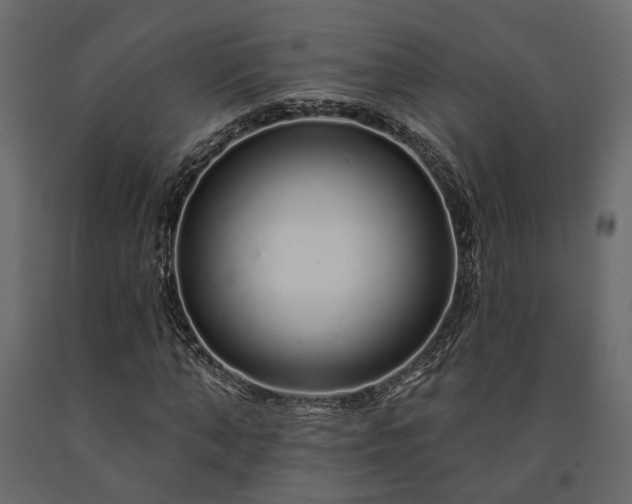 X0000091530870200708241710