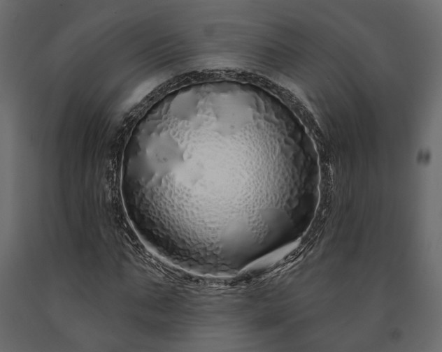 X0000091530871200708241710