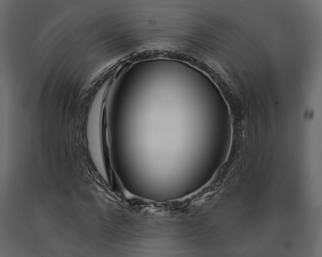 X0000091530872200708241710