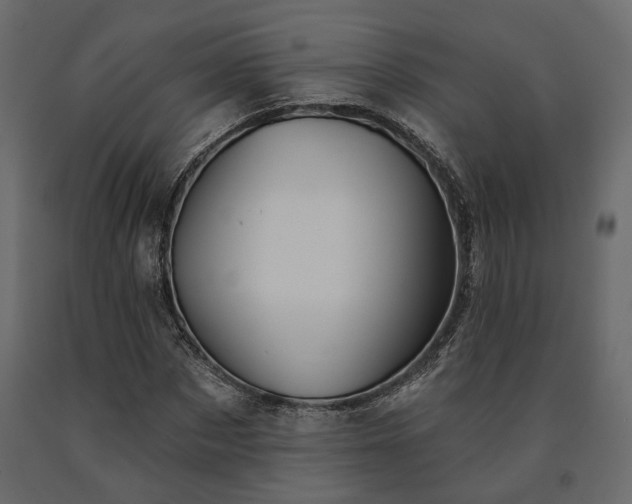 X0000091530873200708241710