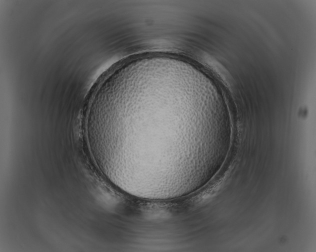 X0000091530875200708241710