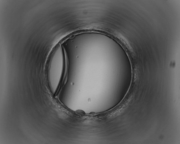 X0000091530876200708241710