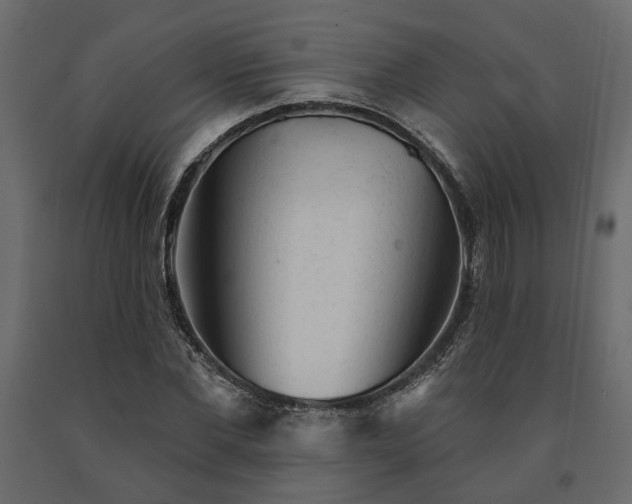 X0000091530877200708241710