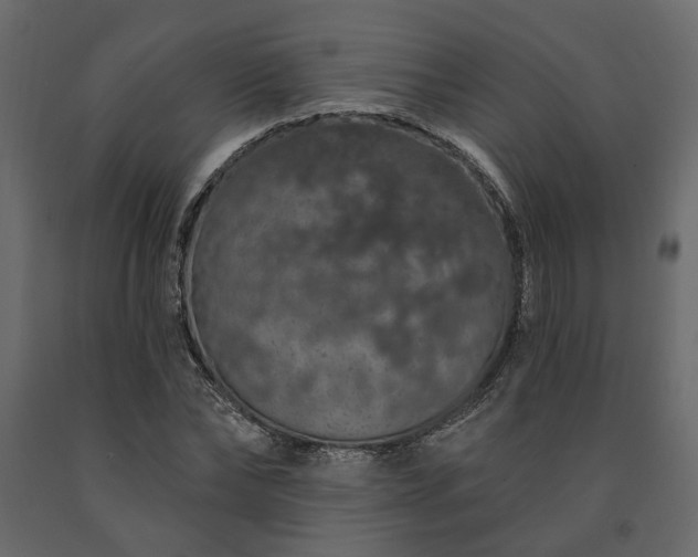 X0000091530878200708241710
