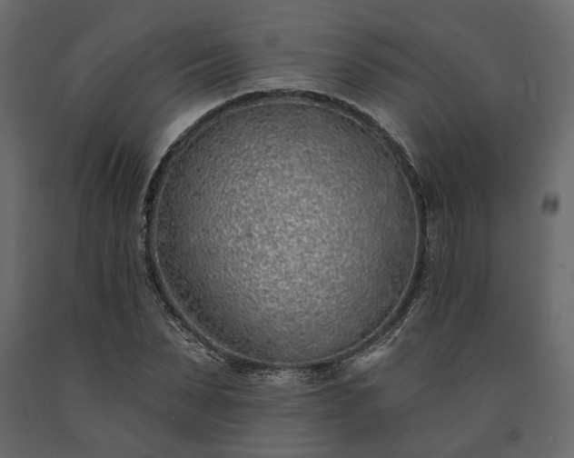 X0000091530879200708241710