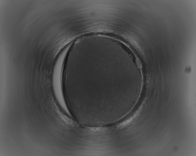 X0000091530881200708241710