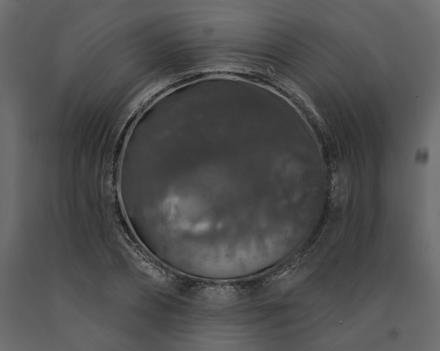 X0000091530882200708241710